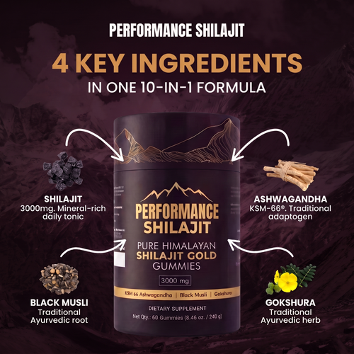 Performance Shilajit Gummies